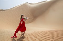法国著名品牌 - REAMHOO追梦花小提琴